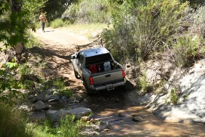 DSC_5921 (Large).JPG